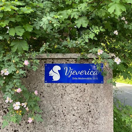 Apartments Vjeverica Zelin Mrzlovodicki Экстерьер фото
