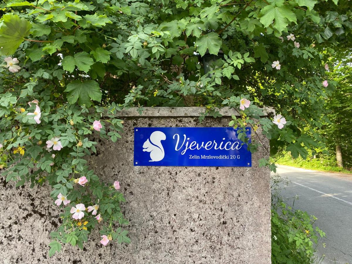 Apartments Vjeverica Zelin Mrzlovodicki Экстерьер фото